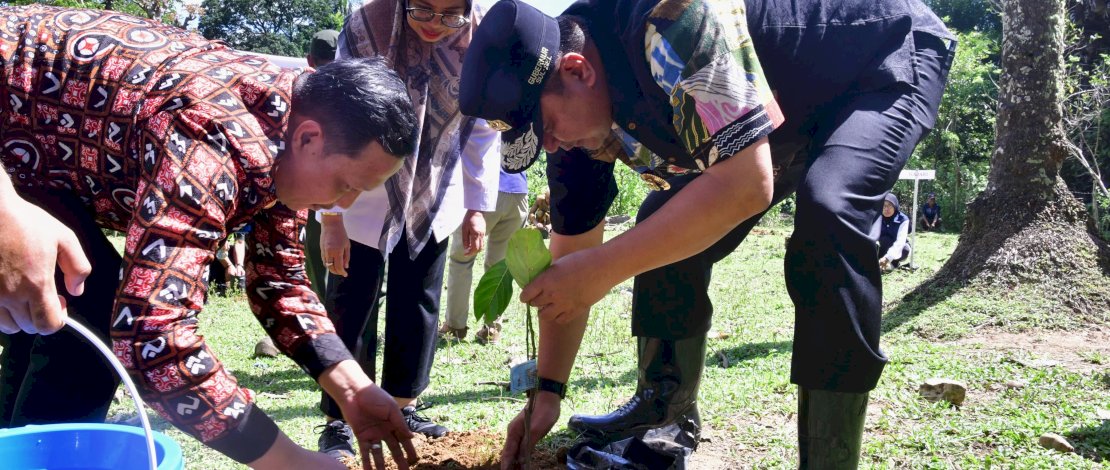 Bahtiar Baharuddin Dorong Pangkep Jadi Penghasil Nangka Madu