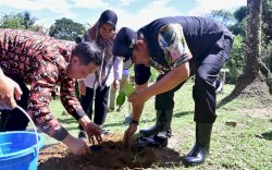 Bahtiar Baharuddin Dorong Pangkep Jadi Penghasil Nangka Madu