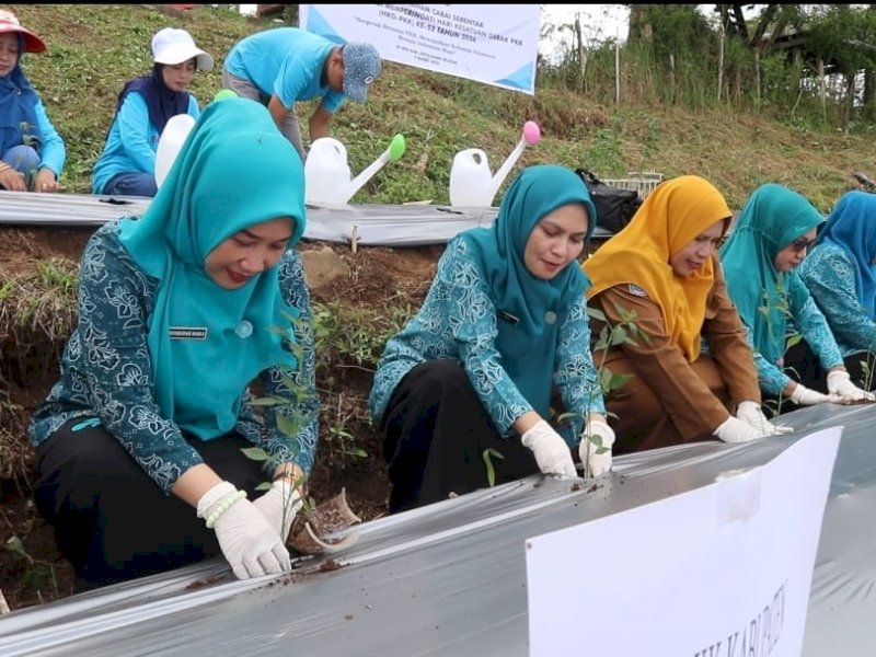 TP PKK Kepulauan Selayar Ikuti Gerakan Tanam Cabai Serentak