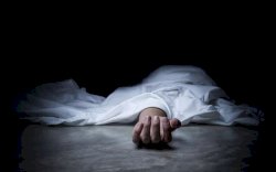 Makan Ikan Buntal, Ibu dan Dua Balitanya Tewas Keracunan