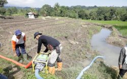 Mentan Ingatkan Kadis Pertanian se Indonesia Lakukan Percepatan Tanam