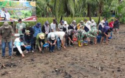 Kementan Lakukan Pencanangan Penanaman Padi Gogo Tumpang Sari Kelapa di Wajo