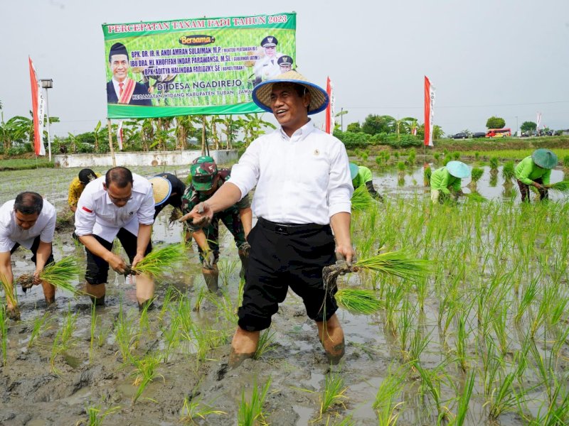Amankan Produksi Beras, Kementan Giatkan Penggunaan Alsintan Saat Panen Raya 
