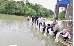 Sudah 2,1 Juta Benih Ikan Air Tawar Ditebar di Bone