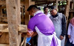 Inseminasi Buatan di Tellu Siattinge Bone, Pj Gubernur Sulsel Pastikan Program Sampai ke Masyarakat 