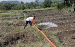 Ekspor Pertanian Naik 61,91 Persen Saat Sektor Lain Alami Penurunan