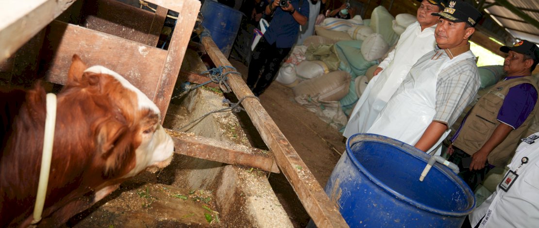 Pj Gubernur Sulsel Bahtiar Baharuddin saat mengunjungi lokasi peternakan milik warga di Kabupaten Barru, Jumat, 22 Maret 2024. Pj Gubernur Sulsel Bahtiar Baharuddin saat mengunjungi lokasi peternakan milik warga di Kabupaten Barru, Jumat, 22 Maret 2024.