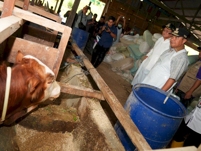 Melalui Inseminasi Buatan, Pj Gubernur Sulsel Dorong Peternak Jadi Pengusaha Ternak