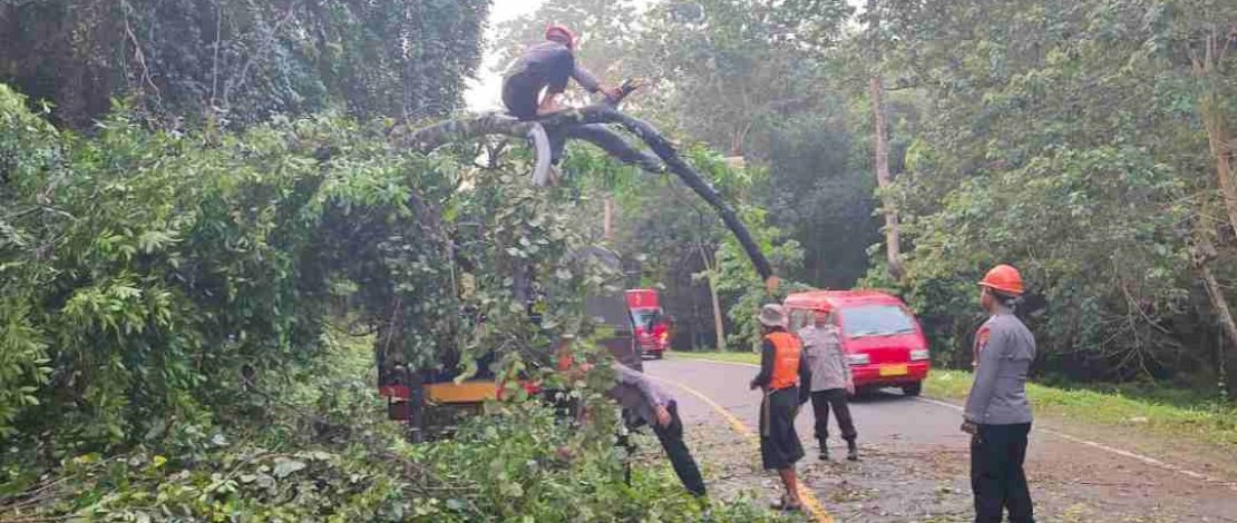Respons cepat Tim SAR Brimob Bone evakuasi pohon berukuran besar di poros Bone-Makassar, Sabtu (23 Maret 2024).
