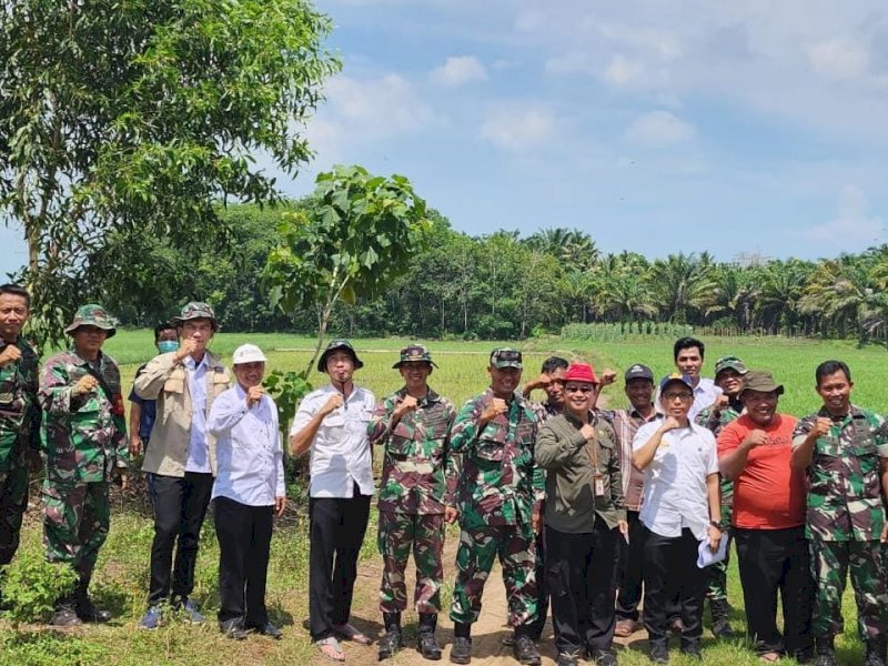 Kementan - TNI Bersinergi Wujudkan Lampung Jadi Sentra Produksi Beras Nasional