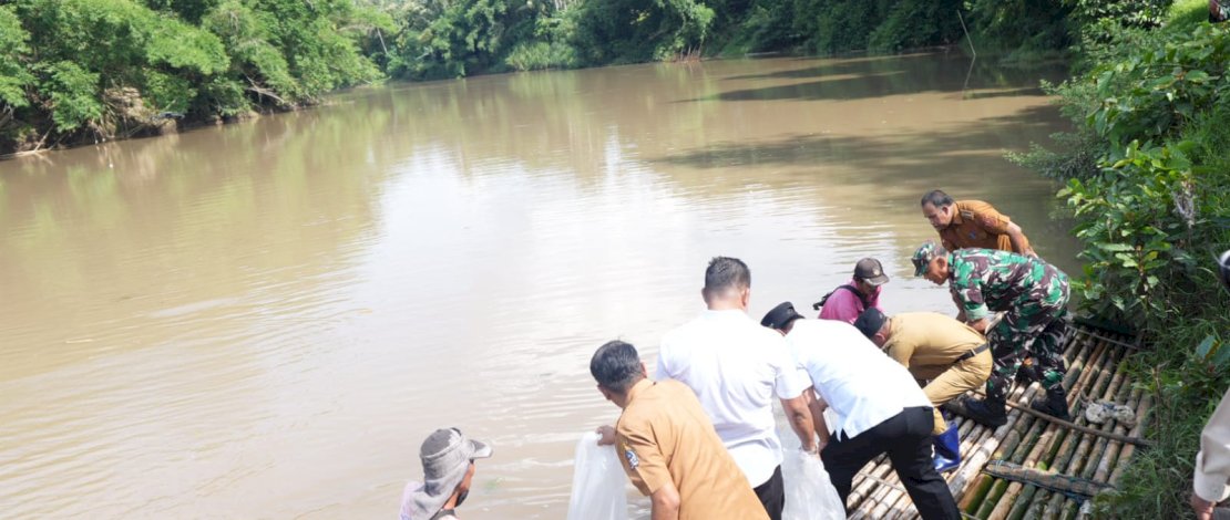 Pj Gubernur Bahtiar bersama Pj Bupati dan Ketua DPRD Bone melakukan penebaran 200 ribu benih ikan nila di Desa Mattampa Walie, Kecamatan Lamuru.