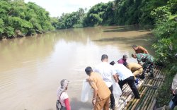 Program Ketahanan Pangan dan Cegah Miskin Ekstrem, Sudah 2,7 Juta Benih Ikan Ditebar di Kabupaten Bone