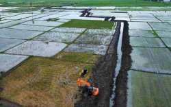 Optimasi Lahan Rawa, Kementan Alokasikan Bone 5000 Hektare
