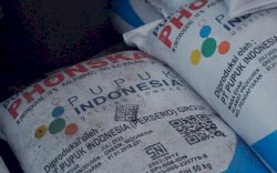 Pemerintah Naikkan Kuota Penyaluran Pupuk Subsidi Jadi 9,5 Juta Ton, Termasuk Organik