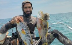 Mengenal Penembak Jitu 'Spearfishing' Metode Tangkap Ikan Ramah Lingkungan di Pantai Labuange