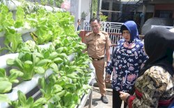 Ketua TP PKK Kota Makassar dan Kadis Ketapang Tinjau Longwis di Dua Kecamatan