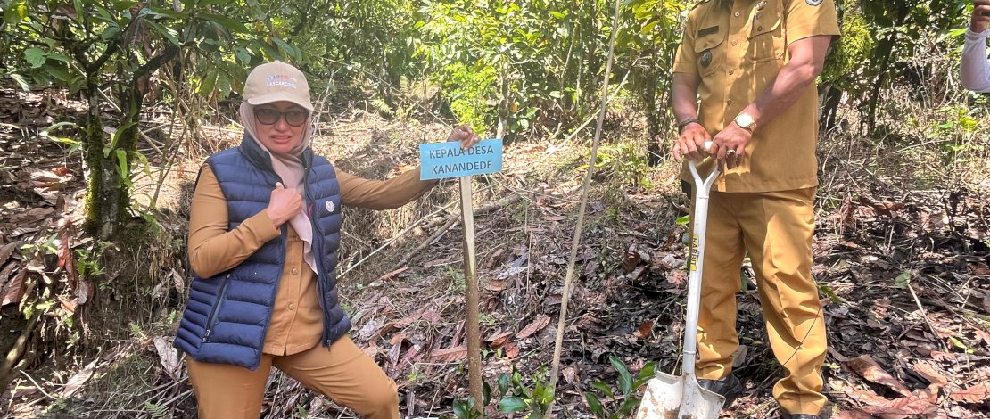 Hari Bumi, Sebanyak 1.815 Jenis Pohon di Kecamatan Rongkong di Luwu Utara