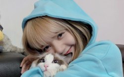 Cinta Kucing? Dapatkan Gaji Rp162 Juta dengan Pekerjaan di Kanada!