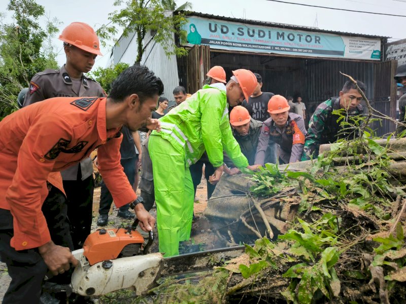 Tim SAR Batalyon C Pelopor Evakuasi Pohon Tumbang di Poros Bone - Wajo