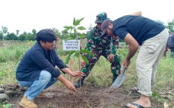 Lestarikan Alam, Huadi Group &ndash; Kodim Bantaeng Kolaborasi Tanam Pohon 