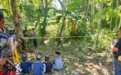 BREAKINGNEWS: Warga Bone Geger Penemuan Granat Nanas di Desa Lattekko