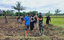 TMMD ke-120 TA 2024 Kodim 1403/Palopo Gelar Kegiatan Ketahanan Pangan