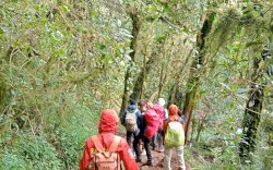 Basarnas Evakuasi Pendaki Alami Hipotermia di Gunung Bawakaraeng