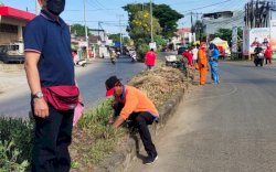 Camat Biringkanaya Instruksikan Pemeliharaan Intensif Taman Median dan Taman Patung Ayam