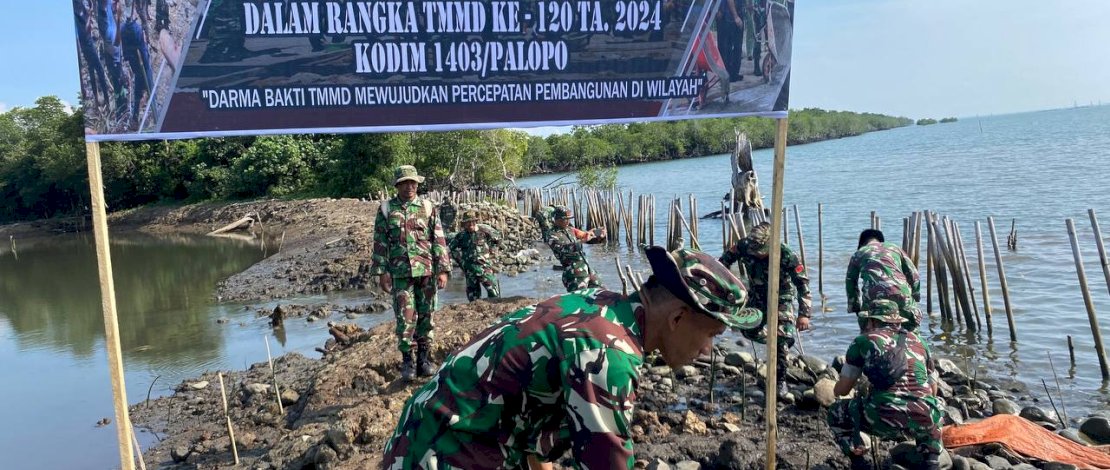 Cegah Abrasi, Satgas TMMD Kodim 1403/Palopo Tanam Mangrove di Pantai Sipa