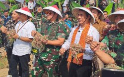 Mentan Amran dan KASAD Jenderal Maruli Panen Bawang Merah di Kawasan Urban Farming