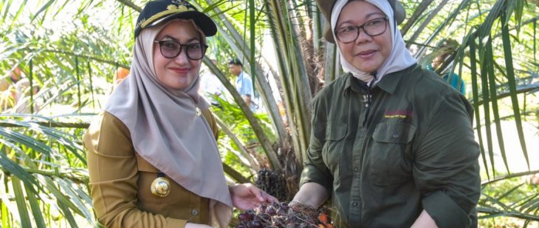 Tiga tahun terakhir, ada kecenderungan masyarakat Luwu Utara dalam memenuhi kebutuhan hidupnya menggeser status pekerjaan utamanya dari bekerja secara bebas dan dari berusaha dibantu buruh tetap menjadi berusaha sendiri. Tiga tahun terakhir, ada kecenderungan masyarakat Luwu Utara dalam memenuhi kebutuhan hidupnya menggeser status pekerjaan utamanya dari bekerja secara bebas dan dari berusaha dibantu buruh tetap menjadi berusaha sendiri.