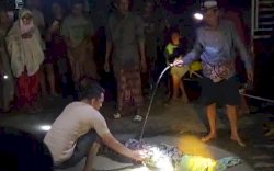 Heboh! Buaya Sepanjang 2 Meter Masuk Pemukiman Warga di Desa Tocina