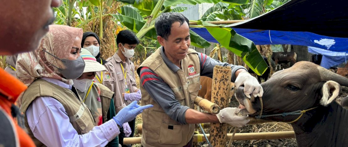 Pastikan Kesehatan Hewan Kurban, DP2 Kota Makassar Gelar Pemeriksaan Ante Mortem dan Post-Mortem Sesuai SOP