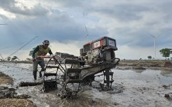 Petani Milenial Bangkit Lewat Koperasi Keuangan Desa