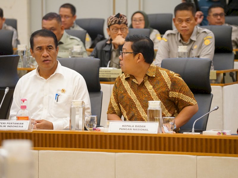 Raker DPR: Mentan Amran Siapkan Program Keberlanjutan Produksi Pertanian