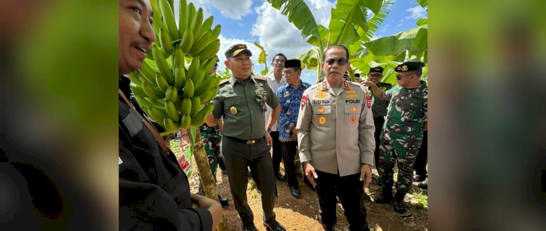 Pangdam XIV Hasanuddin Mayjen TNI Bobby Rinal Makmum dan Kapolda Sulsel Irjen Pol Andi Rian R Djajadi meninjau langsung lahan perkebunan pisang cavendish di Desa Batu Gading, Kecamatan Mare, Kabupaten Bone, Sulsel. Pangdam XIV Hasanuddin Mayjen TNI Bobby Rinal Makmum dan Kapolda Sulsel Irjen Pol Andi Rian R Djajadi meninjau langsung lahan perkebunan pisang cavendish di Desa Batu Gading, Kecamatan Mare, Kabupaten Bone, Sulsel.