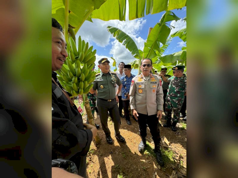 Ada 4 Juta Hektar Lahan Tidur di Sulsel, Kapolda dan Pangdam Dorong Masyarakat Manfaatkan