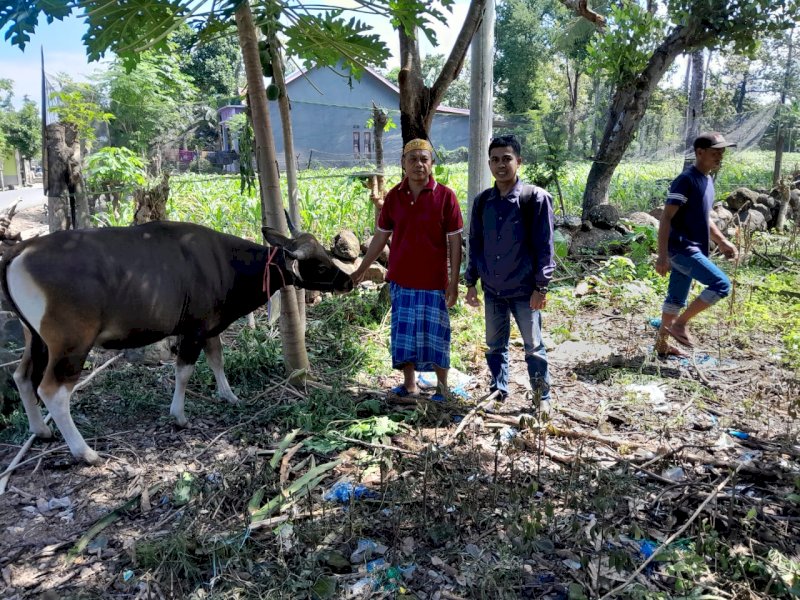 Iduladha, Huadi Group Berkurban 14 Ekor Sapi