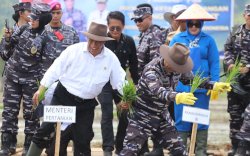 Gebyar Panen Raya, Mentan Amran dan TNI AL Sinergi Akselerasi Ketahanan Pangan