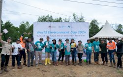 Peringati Hari Lingkungan Hidup Sedunia, PT Vale IGP Pomalaa Tanam Ribuan Bibit Bakau