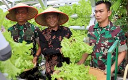 Dinas Ketapang Makassar Dorong Kemandirian Pangan Lorong Wisata melalui Pengembangan KWT