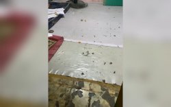 Sekertariat UKM Seni Budaya Talas Diserang OTK, Satu Mahasiswa Terluka