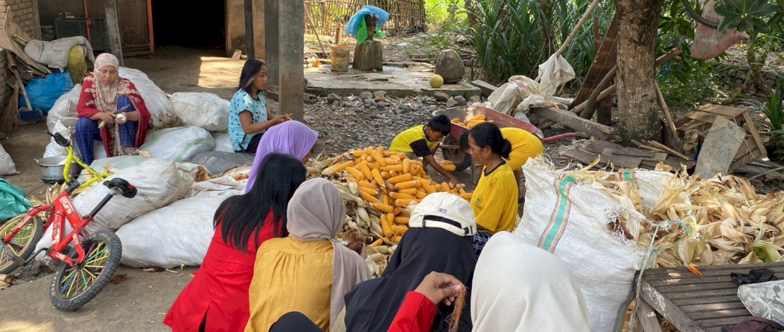 Mahasiswa Unhas mengolah limbah tongkol jagung. Mahasiswa Unhas mengolah limbah tongkol jagung.