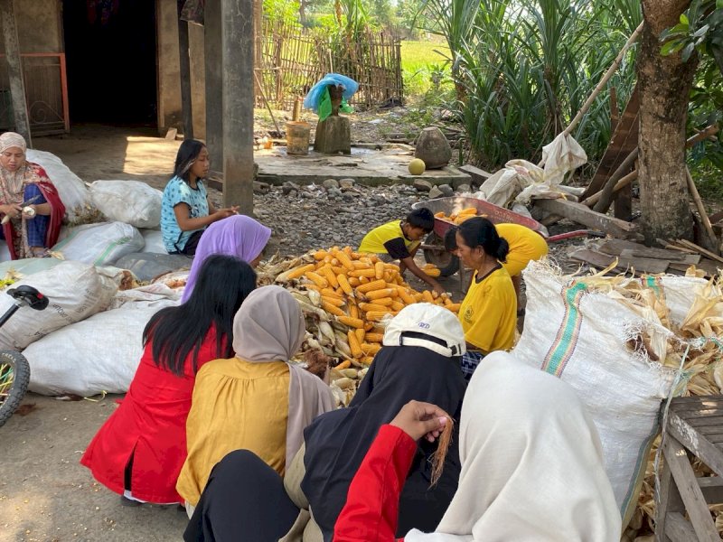 Atasi Masalah Limbah, Mahasiswa Unhas di Takalar Olah Tongkol Jagung Jadi Produk Wirausaha