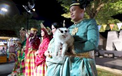 Fashion Show Kucing Meriahkan Zona 5 F8