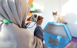 Fotografi Fauna di Event F8: Tantangan dan Keindahan yang Tak Terlupakan