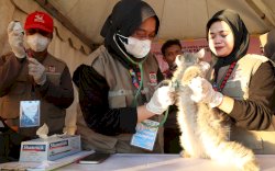 Zona 5 F8, Sediakan Free Vaksinasi Rabies untuk Hewan Kesayangan