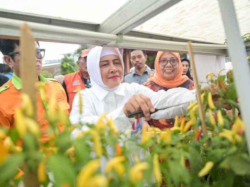 Indira Yusuf Ismail Pantau Perkembangan Longwis Sydney, Beri Dukungan untuk Peningkatan Potensi Wisata