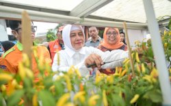 Indira Yusuf Ismail Pantau Perkembangan Longwis Sydney, Beri Dukungan untuk Peningkatan Potensi Wisata