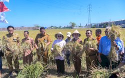 Indira Yusuf Ismail Tekankan Peran Lorong Wisata untuk Pembangunan Pertanian Berkelanjutan